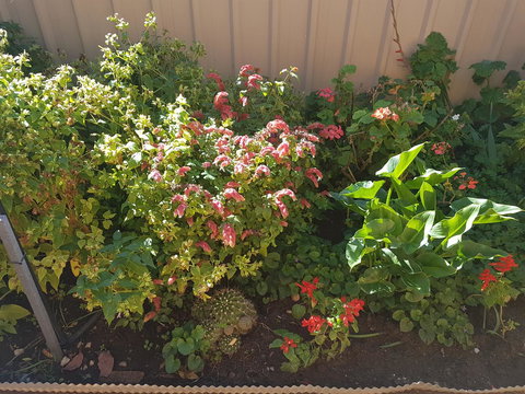 Tanunda\'s Magpie House - Food Delivery Shop 24