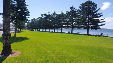 Aart Apartments - Pet Food Australia 0