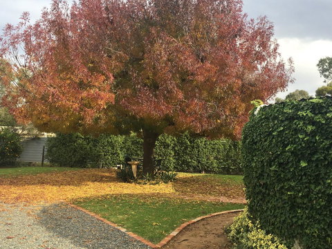 Barossa Retro BnB - Food Delivery Shop 30