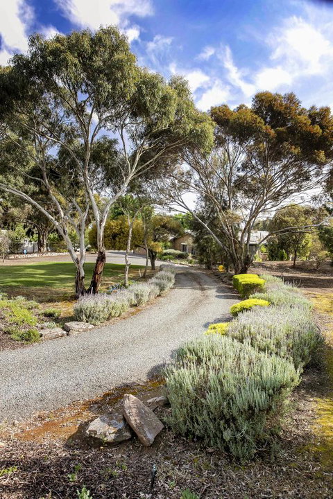 Barossa Retro BnB - Food Delivery Shop 4