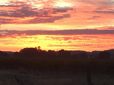 Barossa Retro BnB - Food Delivery Shop 21