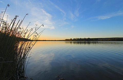 Riverview Rise Retreats - Food Delivery Shop 14