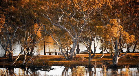 Riverview Rise Retreats - Food Delivery Shop 4