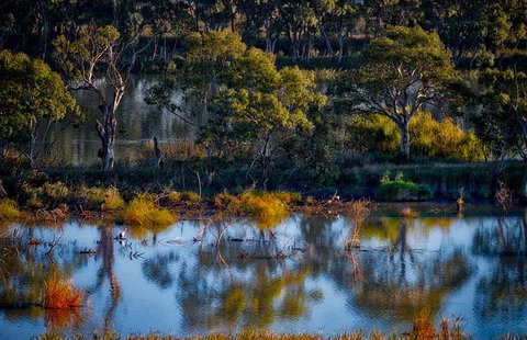 Riverview Rise Retreats - Food Delivery Shop 7