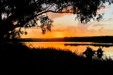 Riverview Rise Retreats - Food Delivery Shop 12