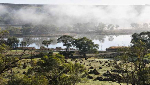 Riverview Rise Retreats - Food Delivery Shop 5