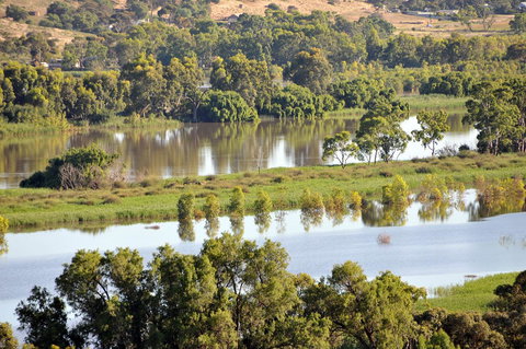 Riverview Rise Retreats - Food Delivery Shop 19