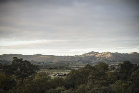 Novotel Barossa Valley Resort - Food Delivery Shop 23