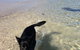 Beachside Holiday Park - thumb 17