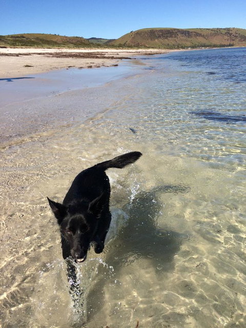 Beachside Holiday Park - Food Delivery Shop 17