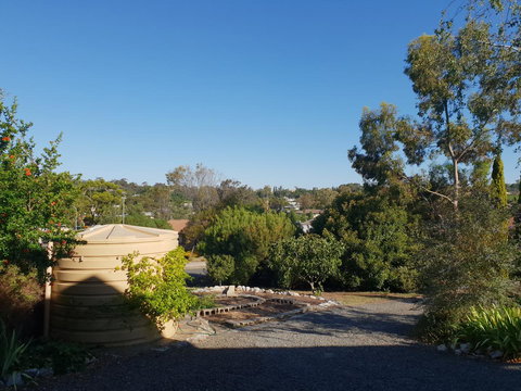 Barossa Valley Studio - Food Delivery Shop 24