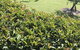 Avon View Stays Accommodation. - thumb 10