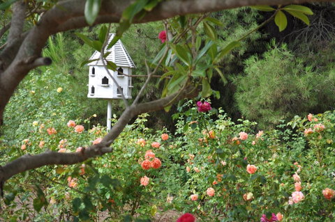 The Lyndoch Motel - Food Delivery Shop 2