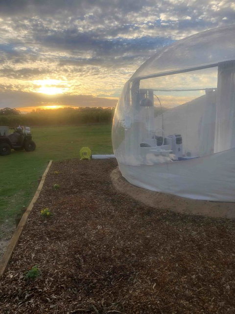 Coonawarra Bubble Tents - Food Delivery Shop 6