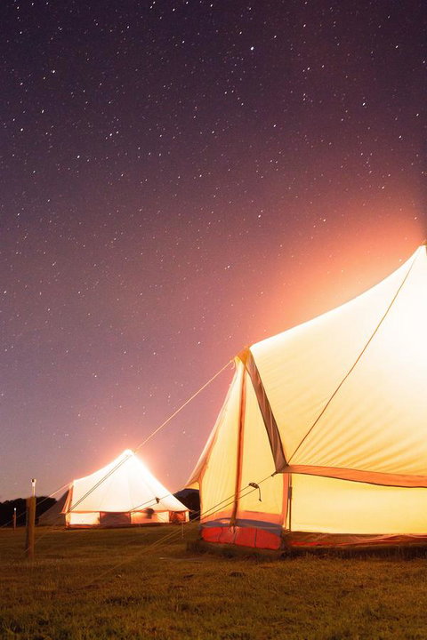 Coonawarra Bubble Tents - Food Delivery Shop 7