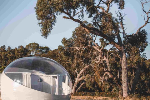 Coonawarra Bubble Tents - Food Delivery Shop 10