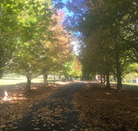 A peaceful cabin in the country - Food Delivery Shop