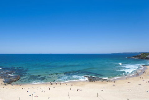 Noah\'s On The Beach - Food Delivery Shop 0