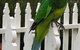 Riverview Tourist Park - thumb 20