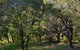 Karriview Margaret River - thumb 43