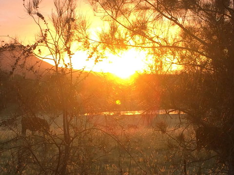 Grapevines Boutique Accommodation - Food Delivery Shop 27