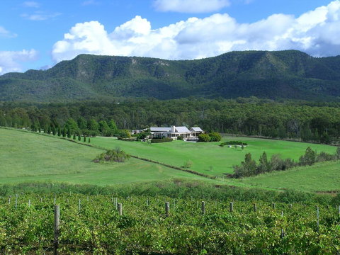 Grapevines Boutique Accommodation - Food Delivery Shop 23