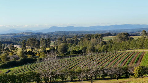 Grapevines Boutique Accommodation - Food Delivery Shop 21