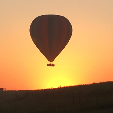 Grapevines Boutique Accommodation - Food Delivery Shop 13