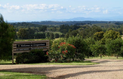 Grapevines Boutique Accommodation - Food Delivery Shop 15