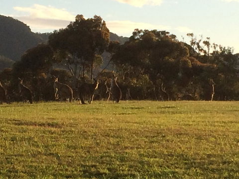 Grapevines Boutique Accommodation - Food Delivery Shop 26