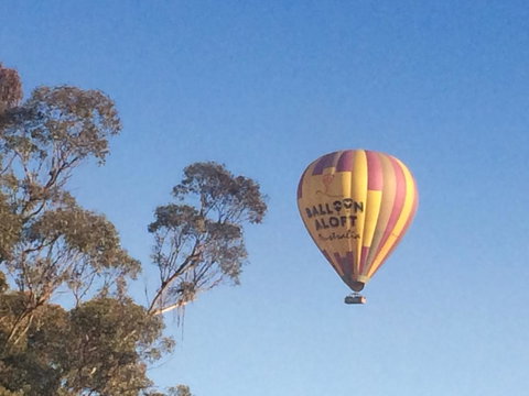 Grapevines Boutique Accommodation - Food Delivery Shop 12