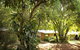 Peppermint Brook Cottages - thumb 13
