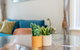 Heritage Townhouse Near Harbour Bridge - thumb 23