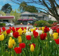 Nesuto Leura Gardens formerly Waldorf Leura Gardens Resort - Food Delivery Shop