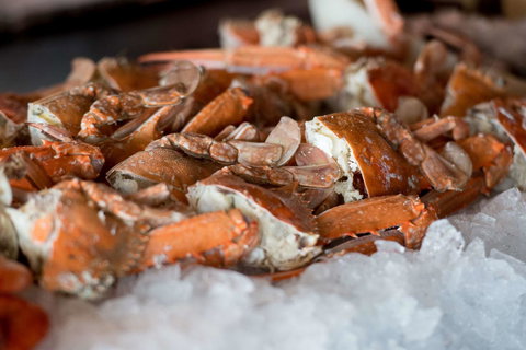 Hyatt Regency Sydney - Pet Food Australia 43