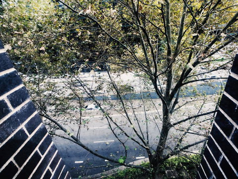 DD Apartments On Day - Pet Food Australia 35