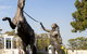 The William Inglis Mgallery - thumb 24