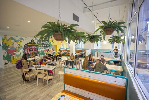 YHA Sydney Central - Pet Food Australia 4