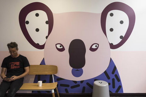 YHA Sydney Central - Pet Food Australia 43