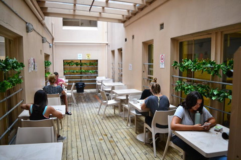 Maze Backpackers - Sydney - Pet Food Australia 3