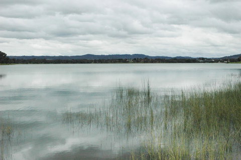 Brand New Executive Apartment - Food Delivery Shop 31