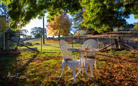 Pound Creek Gallery - Food Delivery Shop 27