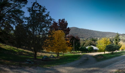Pound Creek Gallery - Food Delivery Shop 7