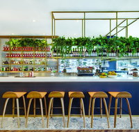 Vibe Hotel Sydney - Pet Food Australia