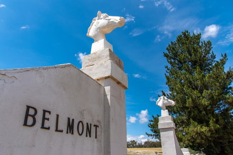 Belmont - Food Delivery Shop 4