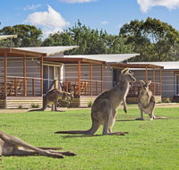 Discovery Parks  Pambula Beach - Food Delivery Shop