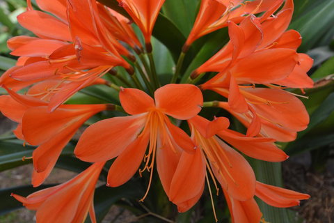 JE Guesthouse, Central To All The Hunter Valley Has To Offer - Food Delivery Shop 39