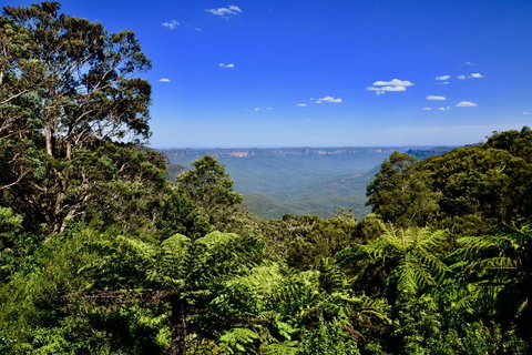 Dangal Gardens - Food Delivery Shop 28