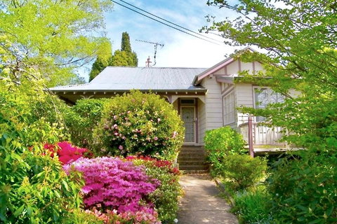 Dangal Gardens - Food Delivery Shop 1