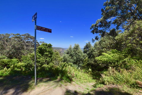 Dangal Gardens - Food Delivery Shop 30